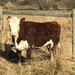 Meet your Posher, Michele